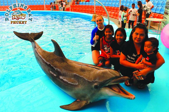 Phuket Meet Dolphins Show